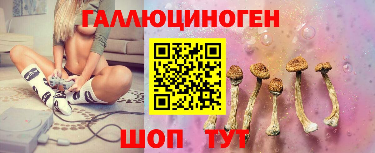 Галлюциногенные грибы Psilocybine cubensis Мегион